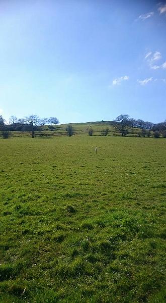 8 to 10's Junior Race (5).jpg